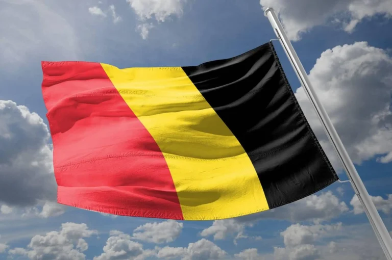 Façonner la Belgique de Demain : Votre Voix au Cœur du Changement avec le Collectif Citoyen